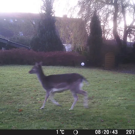 아파트 Amwalde - Retro C3 켈렌후센